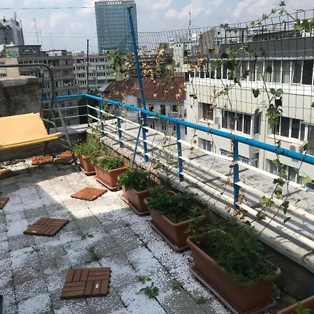 Cismigiu Garden Boekarest